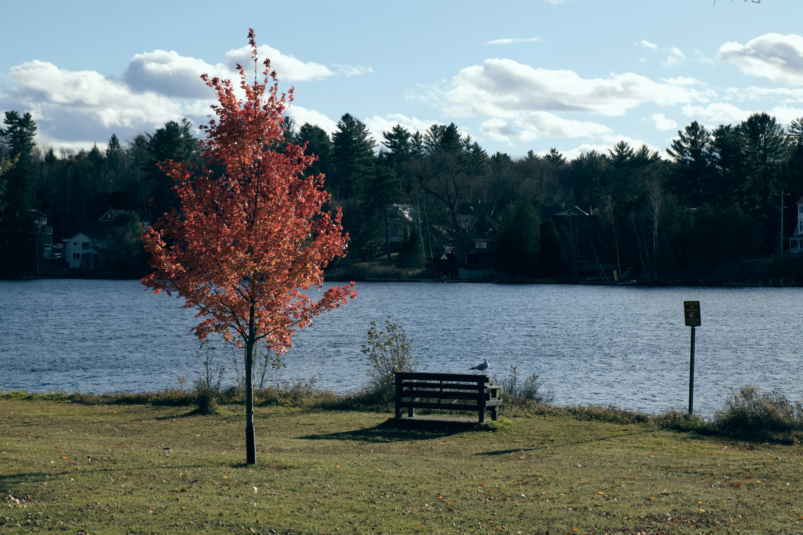 Walden Pond, Massachusetts