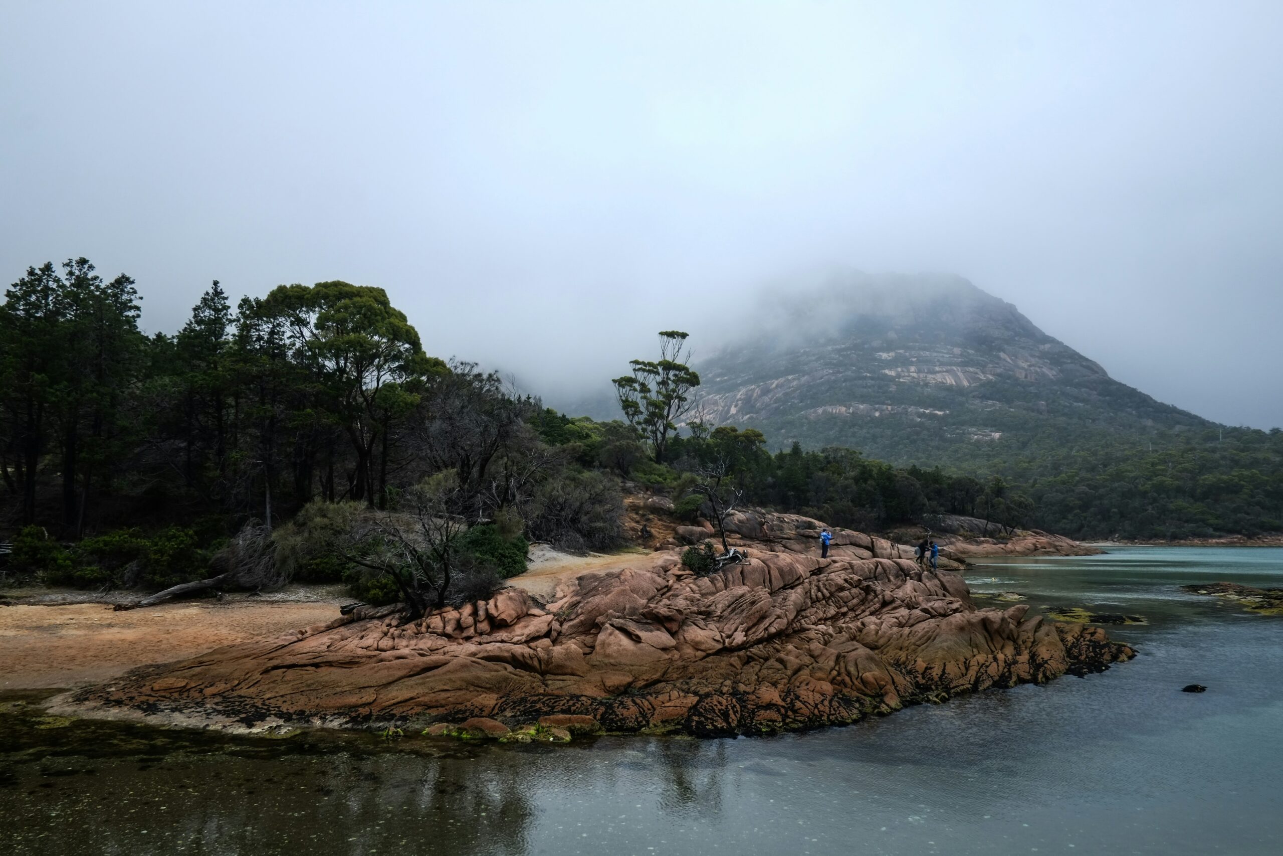 A misty landscape features a rocky shoreline with trees, calm water, and a cloud-shrouded mountain in the background.