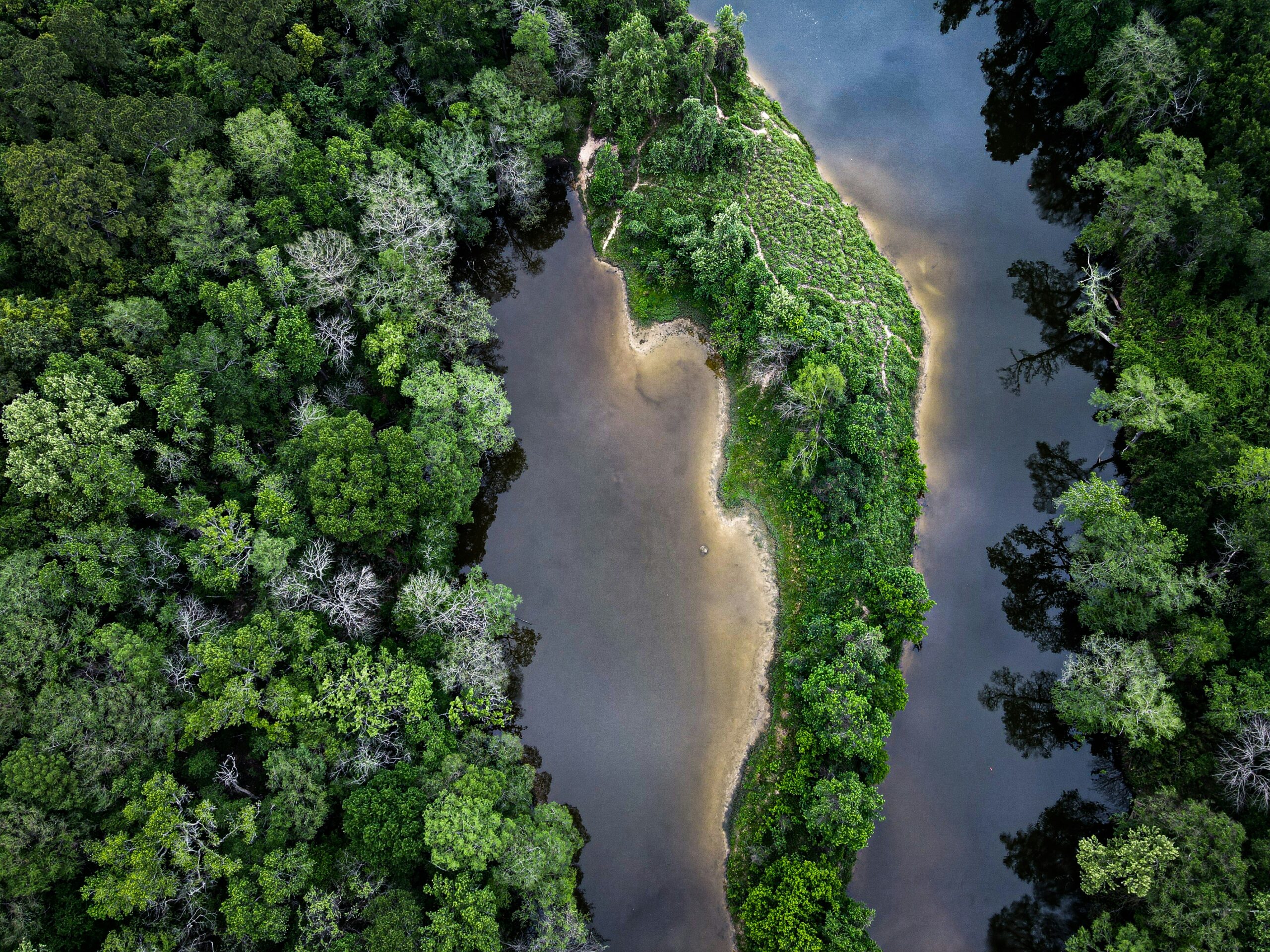 Aerial view of a river bordered by dense green forest and a narrow grassy landmass jutting into the water.