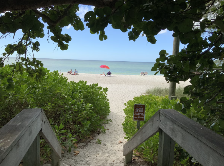 Lush canopied stairway to the beach.