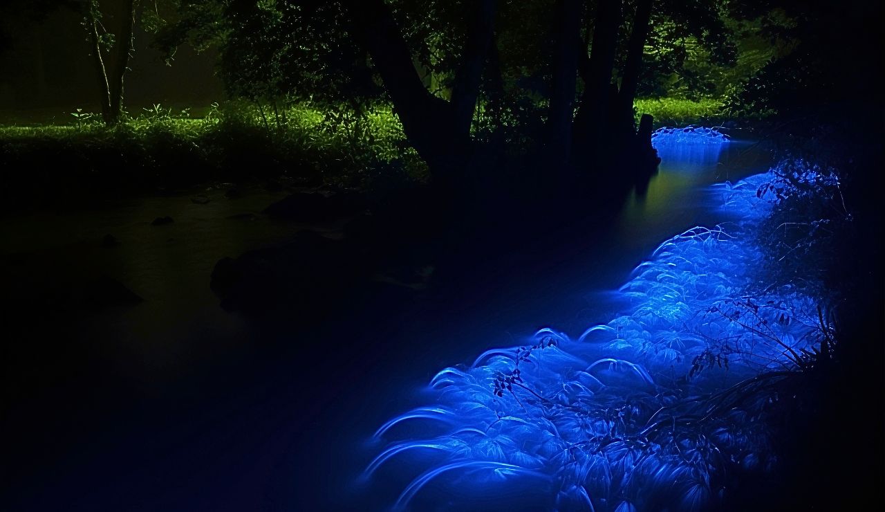 A kayaker gliding through glowing blue water under a starry sky at Mosquito Bay.