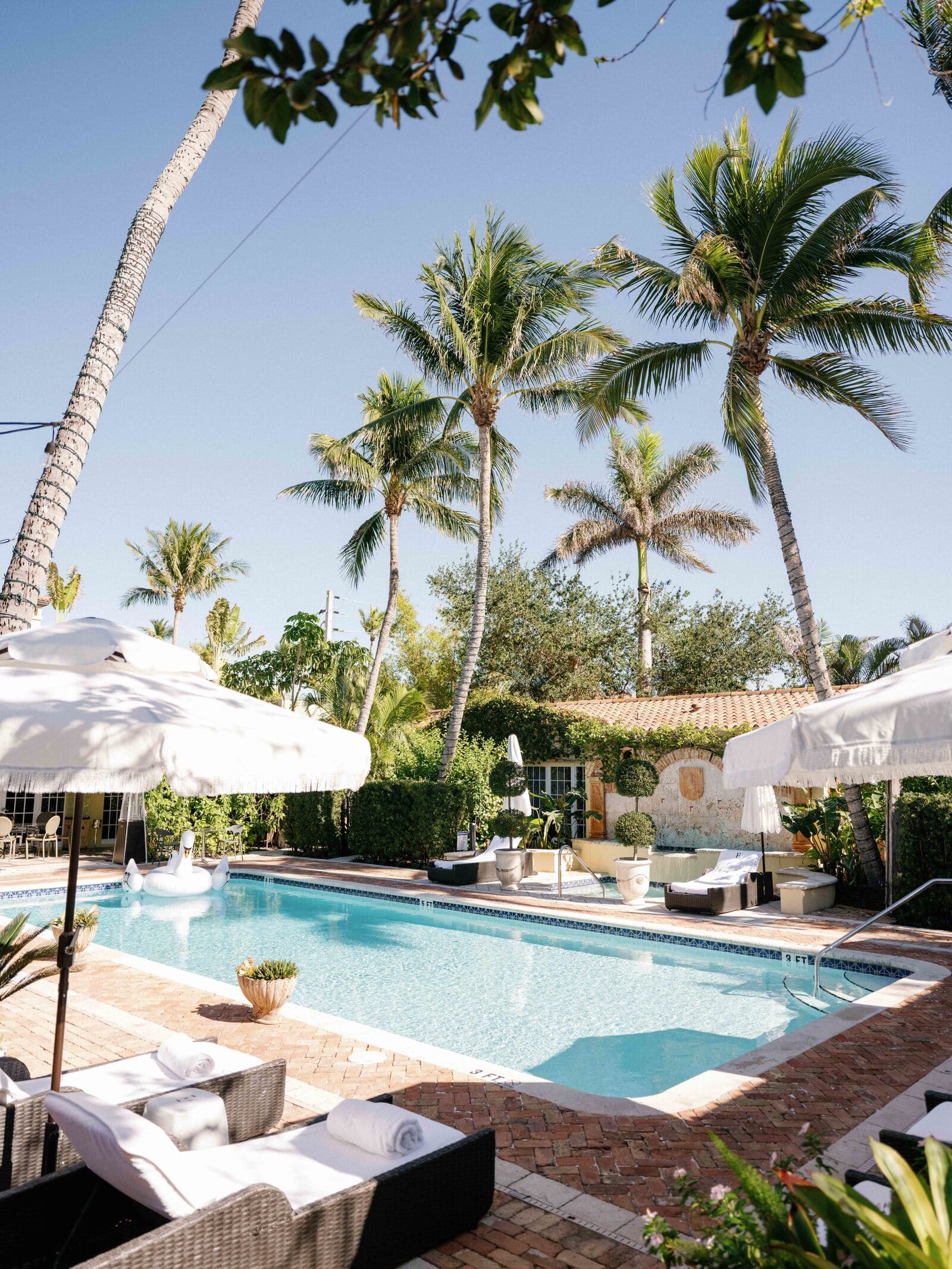 Sunny outdoor pool at Hotel Escalante with palm trees and blue skies.