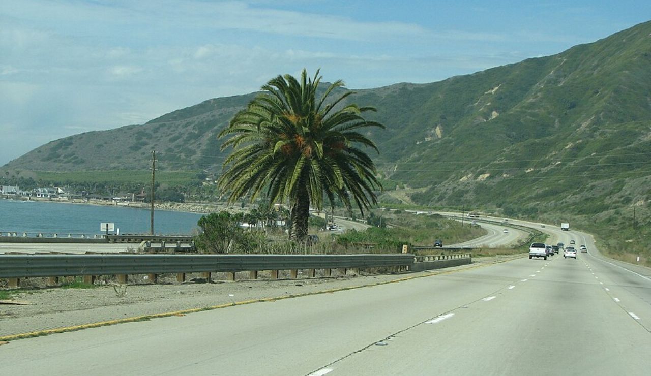 Scenic coastal highway lined with a palm tree, curving alongside green hills and the ocean under a partly cloudy sky.