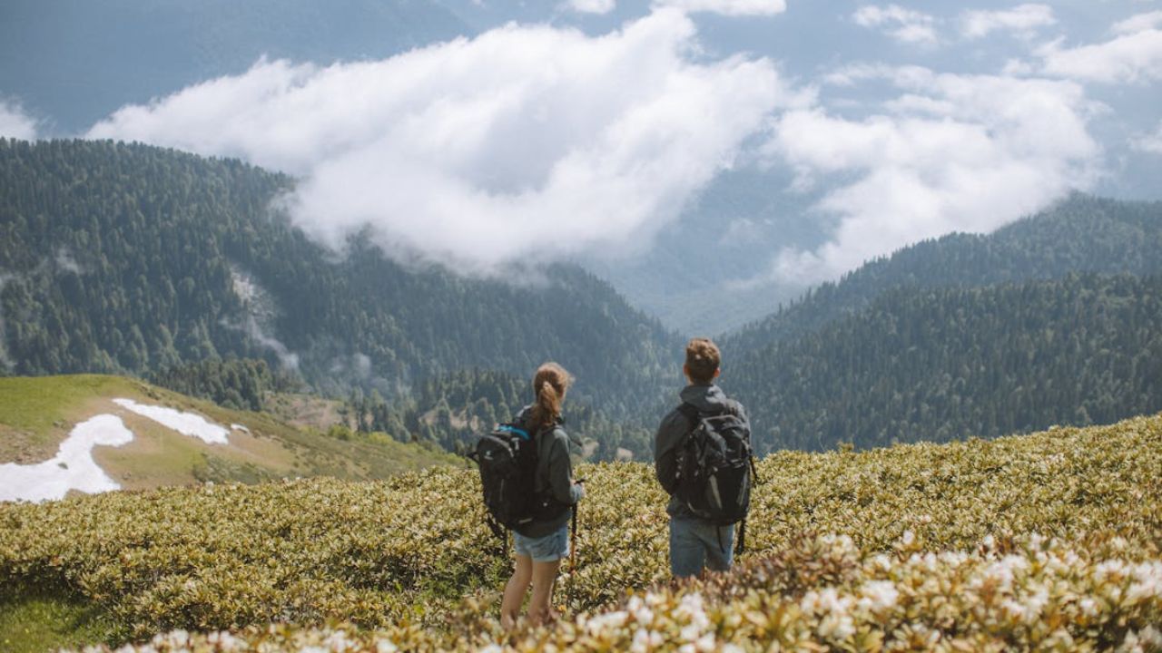 Two hikers pause amid alpine blooms to admire a misty mountain view.