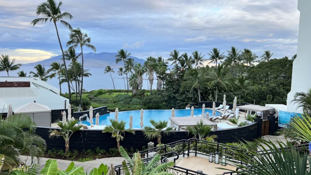 Infinity pool overlooking the ocean, surrounded by palm trees and tropical plants at a luxury resort.