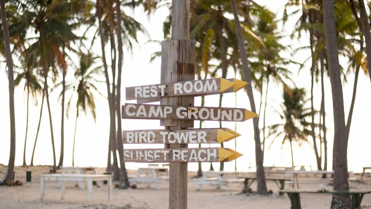 Wooden signpost with directional arrows pointing to Rest Room, Camp Ground, Bird Tower, and Sunset Beach, surrounded by palm trees.