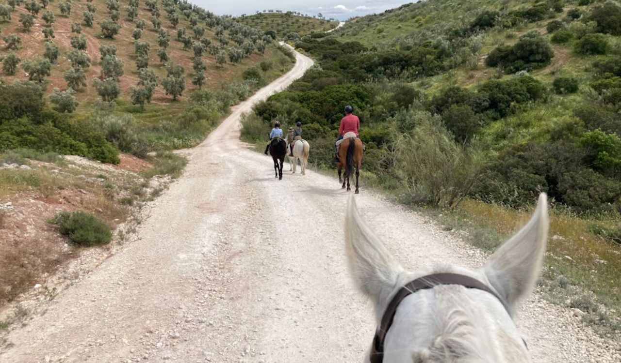 Group of people horseback riding along a winding dirt path through green hills