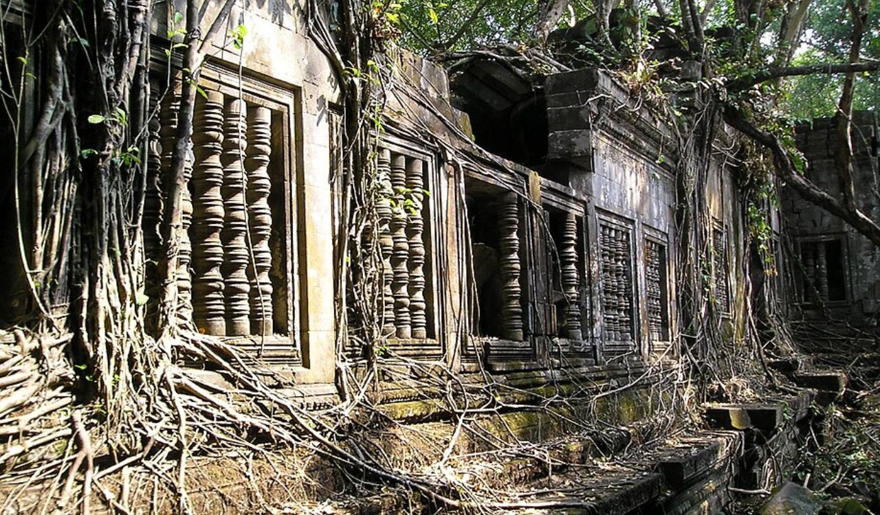 An ancient temple covered in tree roots and vines.
