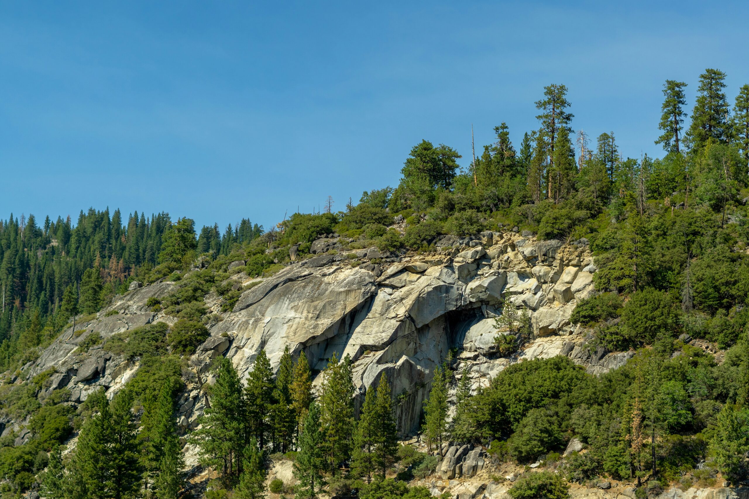 Big Ridge State Park