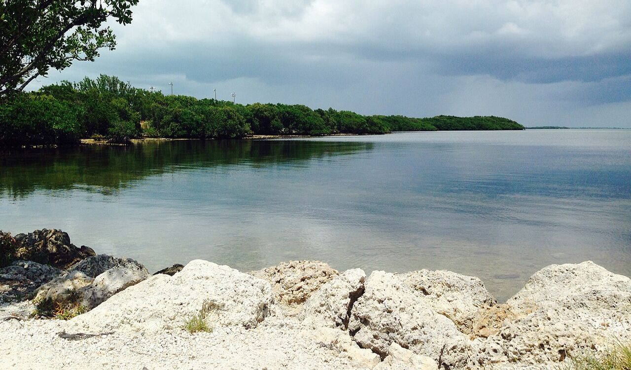 Tranquil shoreline view at Bungalows Key Largo with calm waters, rocky beach, and lush green trees under a cloudy sky