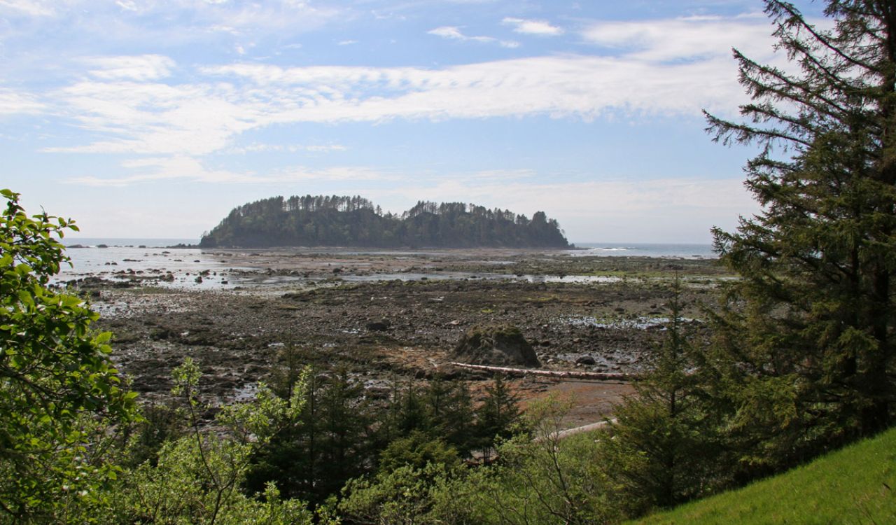 Cape Alava, Washington — Rocky shoreline at low tide with a tree-covered island in the distance under a partly cloudy sky