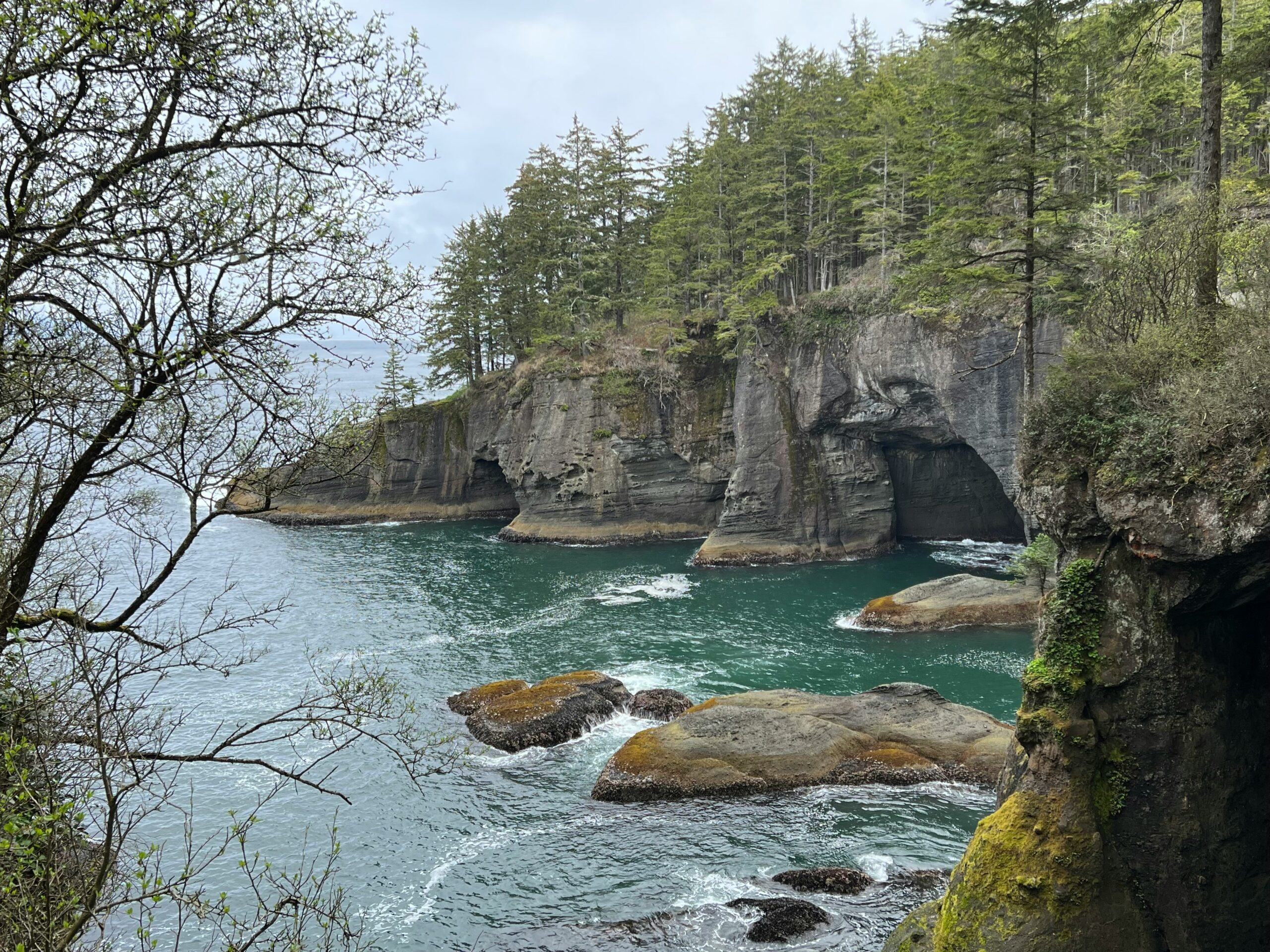 Cape Flattery