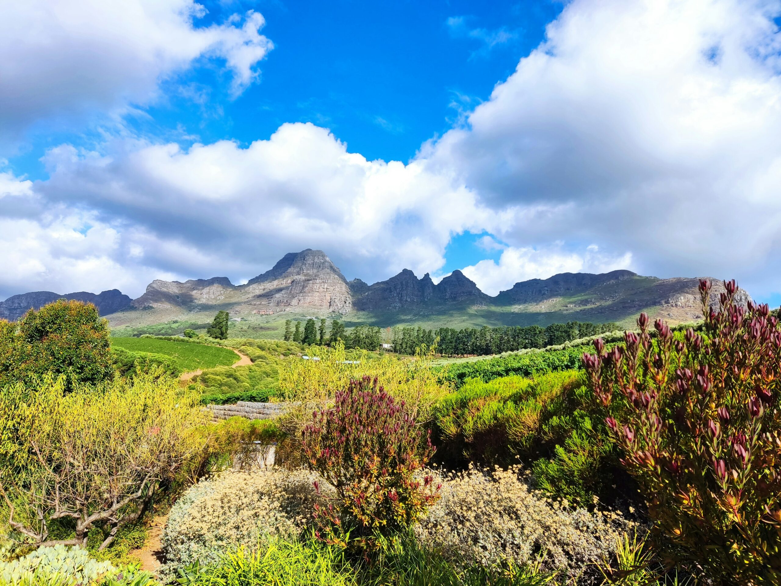 Cape Winelands, South Africa