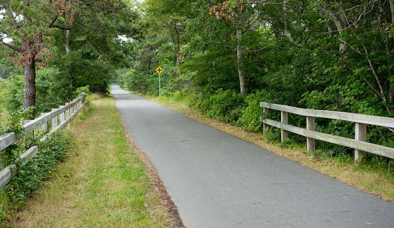 Paved section of the Cape Cod Rail Trail in Massachusetts, flanked by wooden fences and lush green trees.