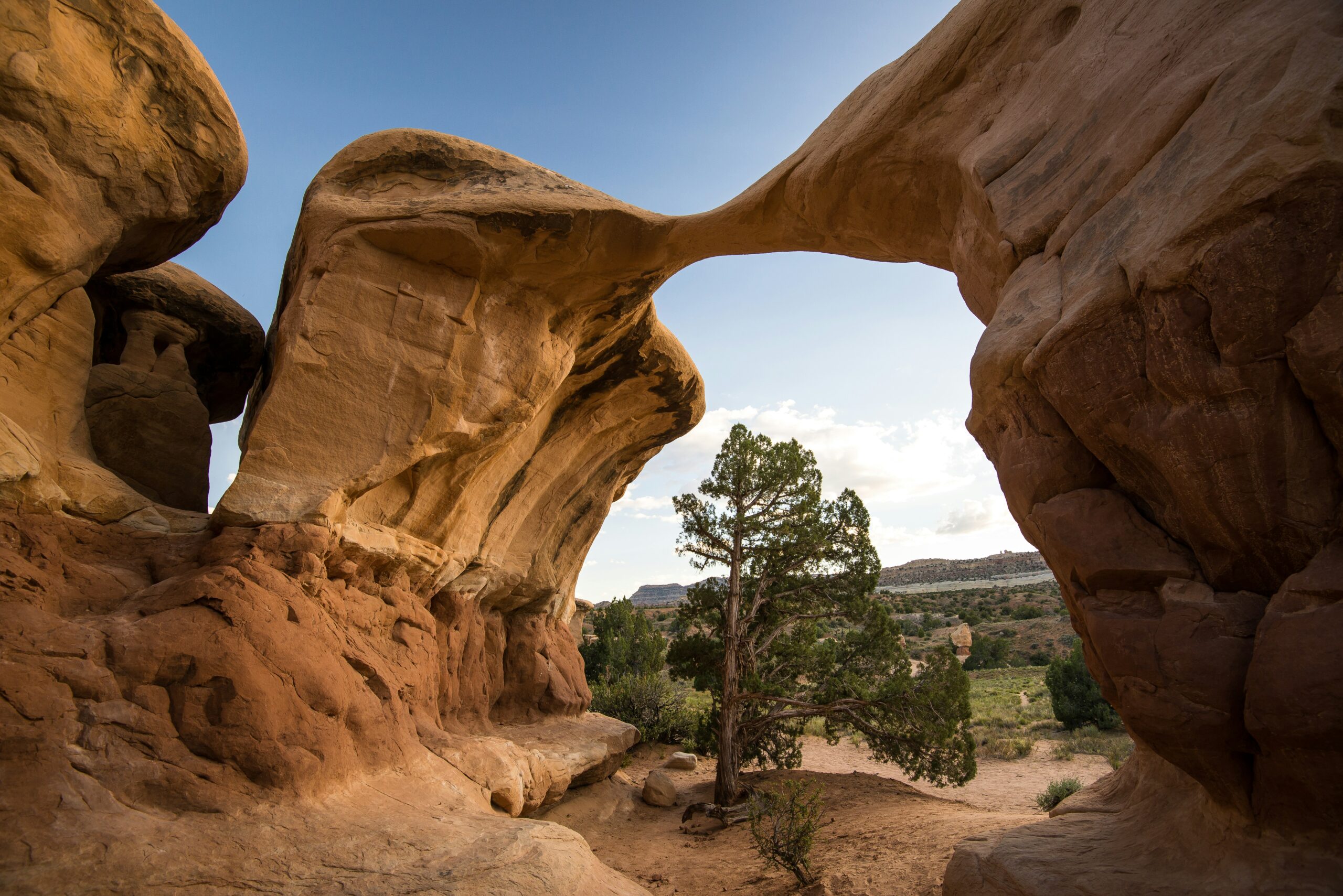 Devils Garden