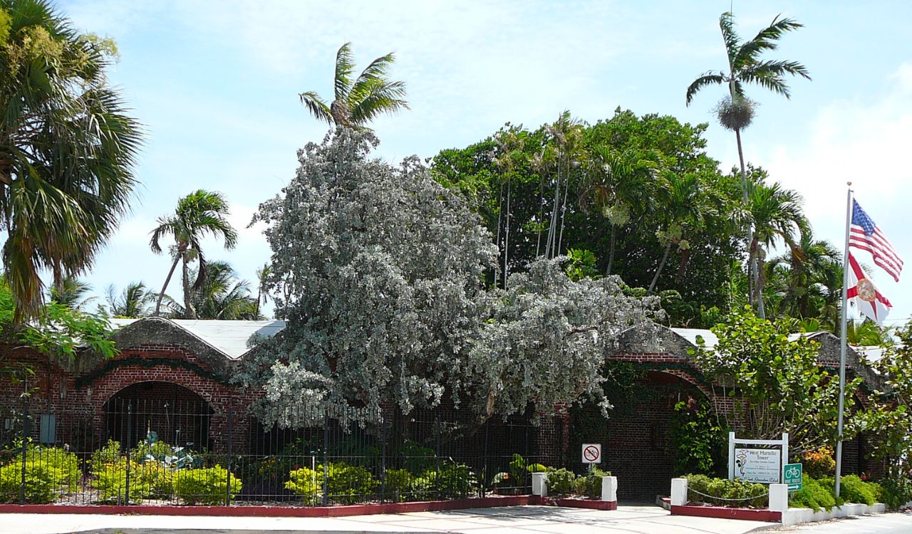Explore lush gardens inside historic ruins