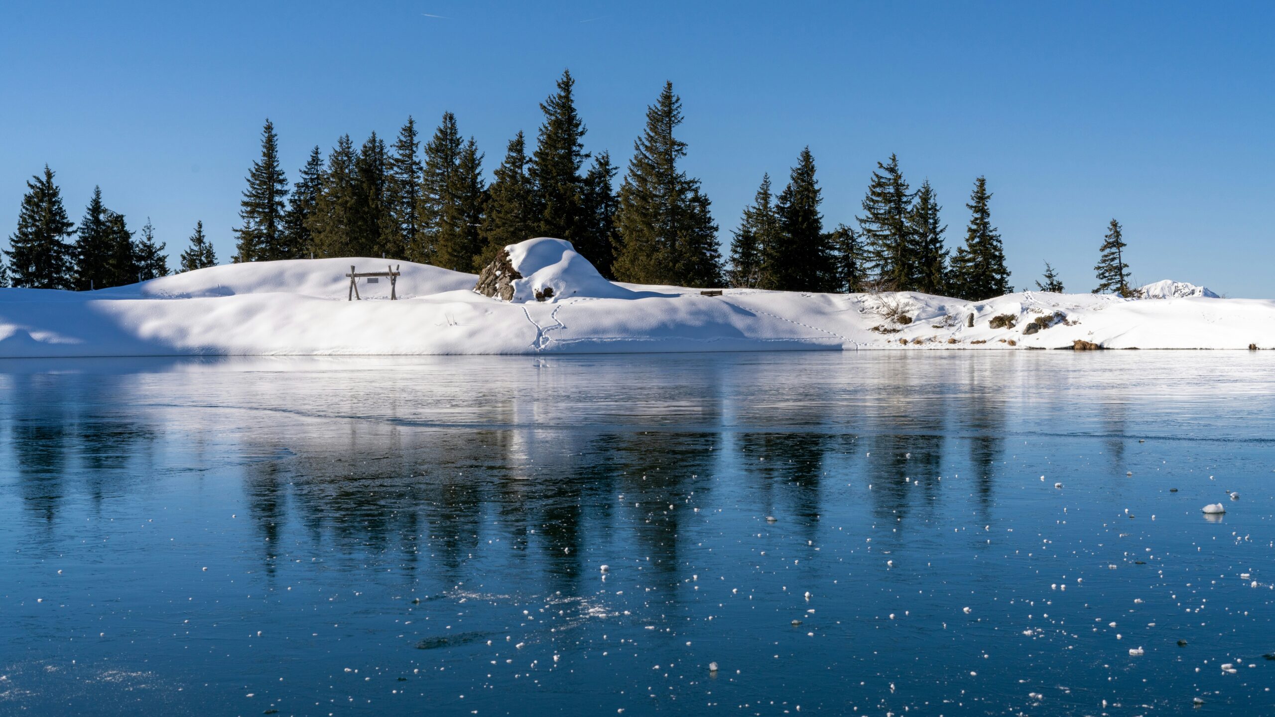 Frozen Head State Park