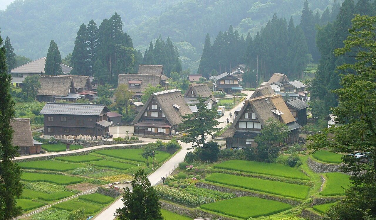 Traditional gassho-style farmhouses in Gokayama, Japan surrounded by rice fields
