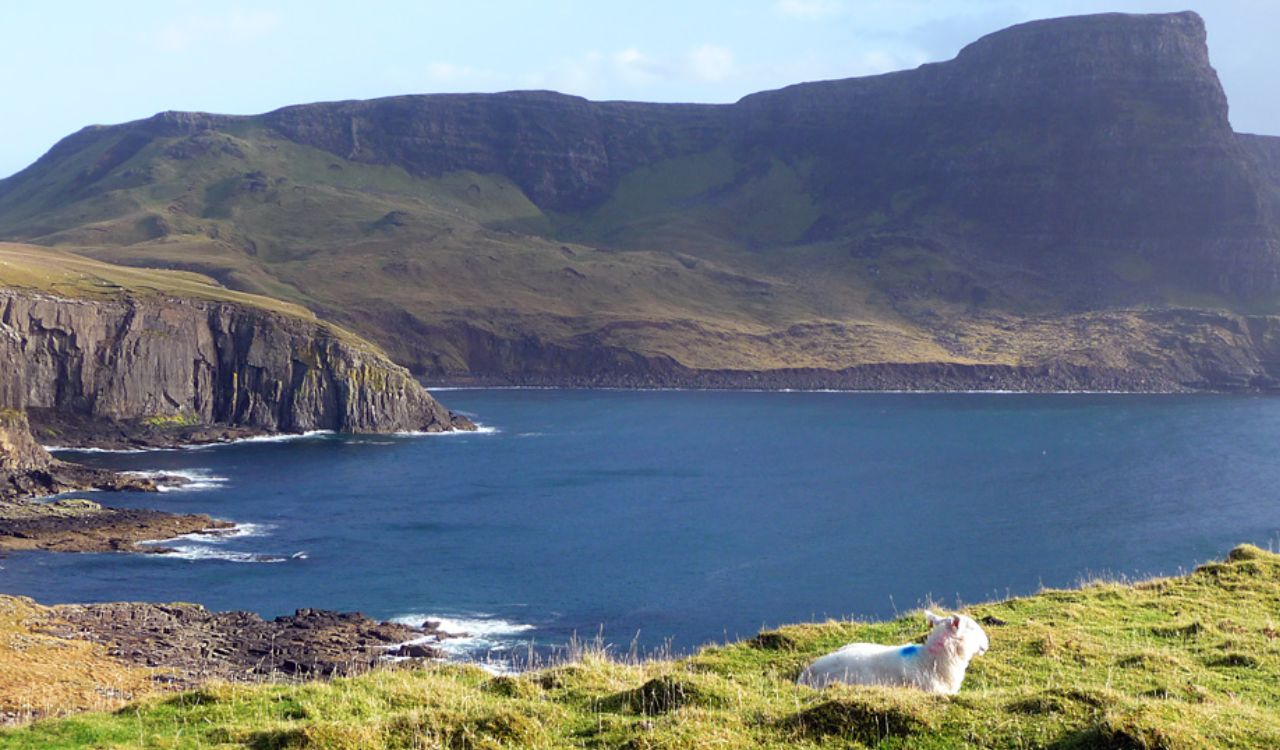 Grassy cliffs overlooking the sea on the Isle of Skye