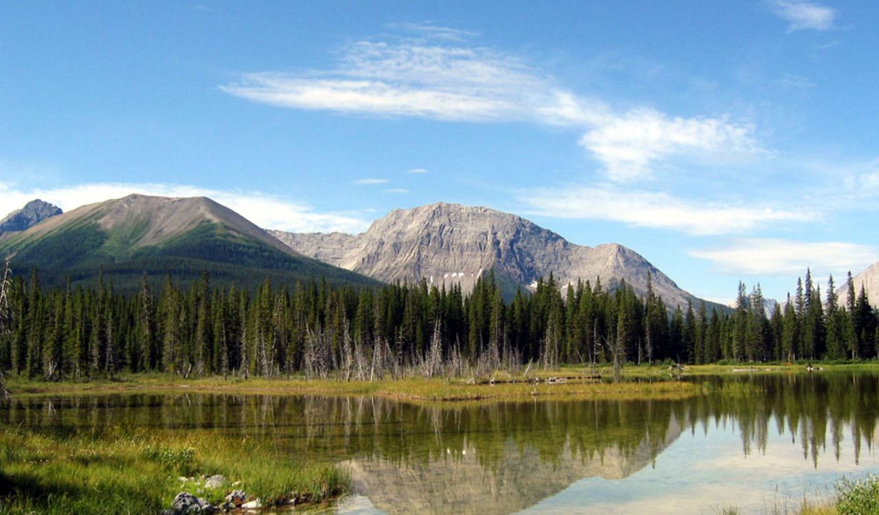Mountain and forest reflected in a calm lake under a blue sky.