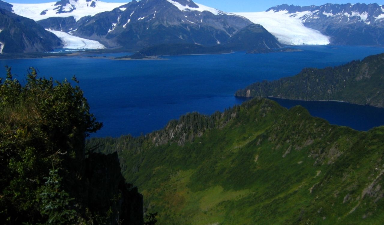 Scenic view of Kenai Fjords National Park with glaciers, ocean, and lush green cliffs in Alaska