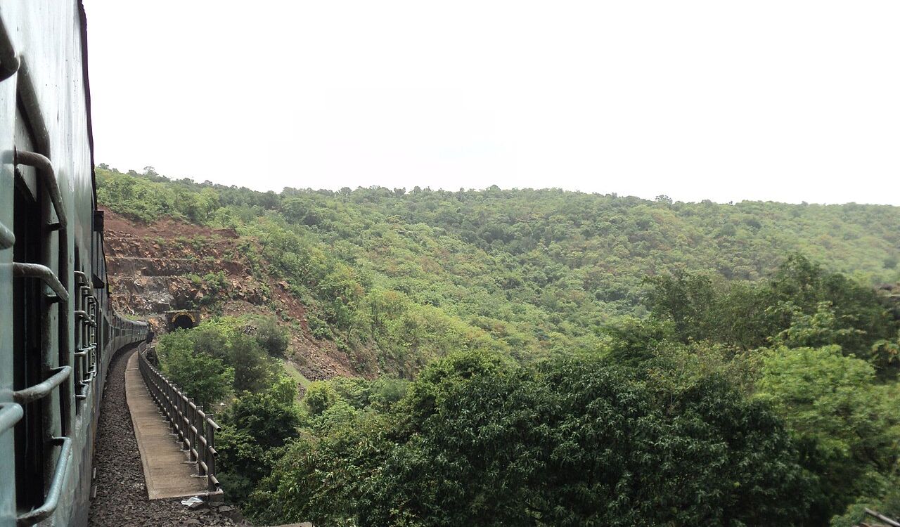 Tunnels, tracks, and tropical trails