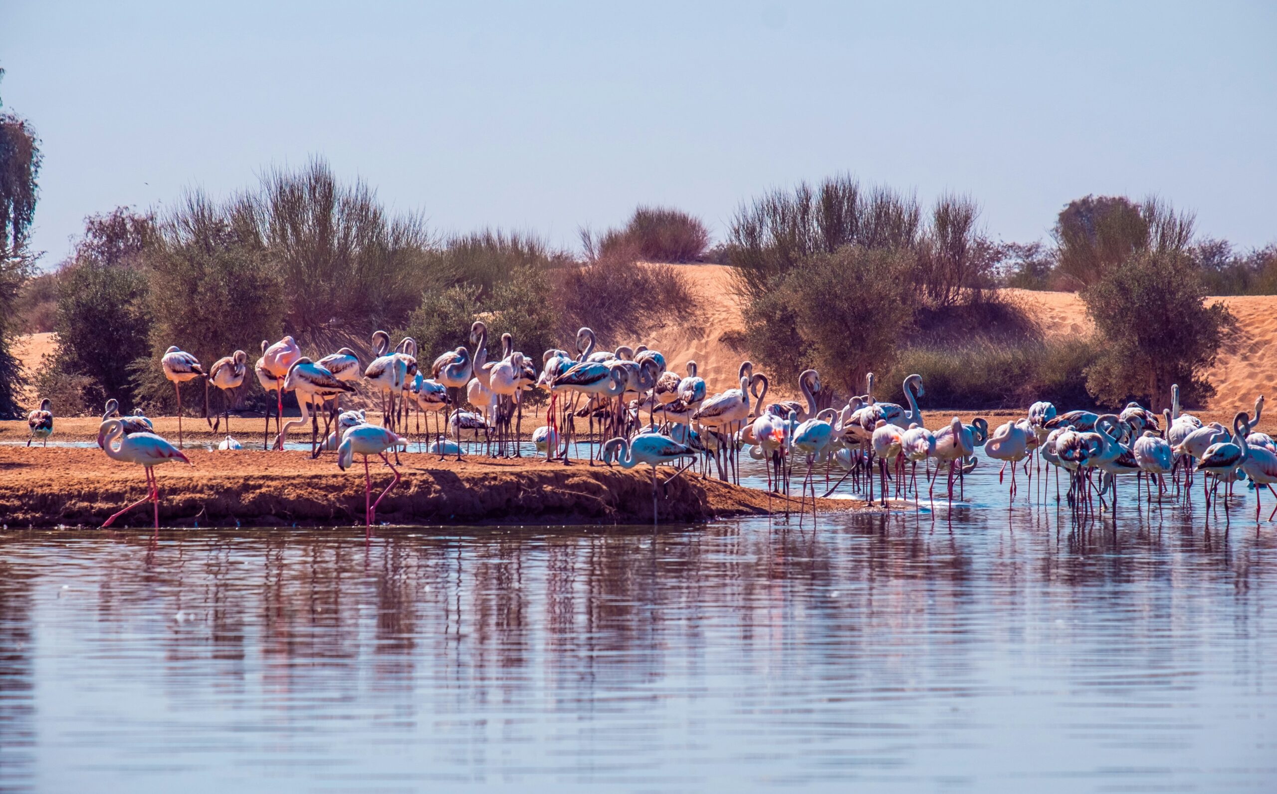 Kubu Island, Botswana