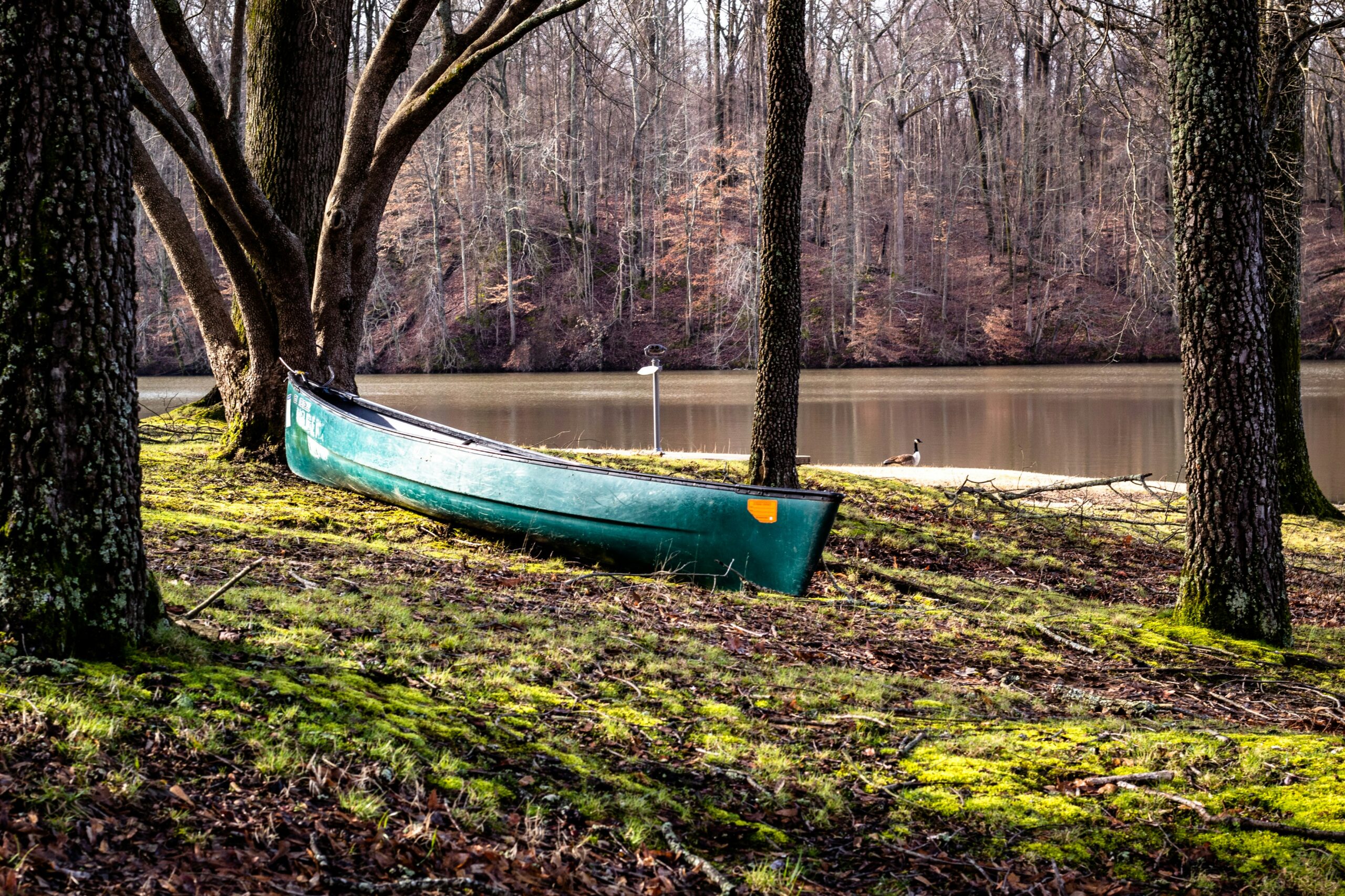 Meeman-Shelby Forest State Park