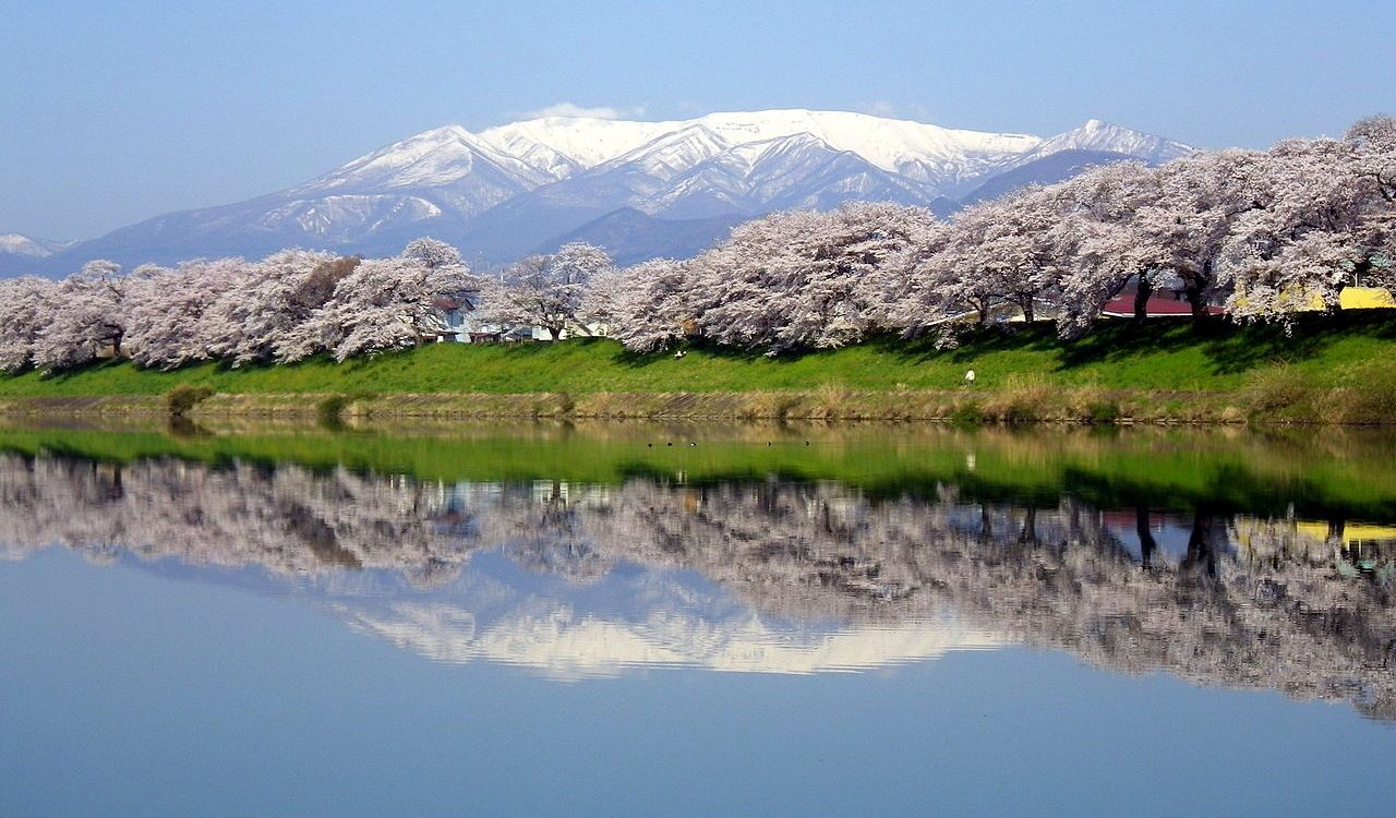 Cherry blossoms reflecting in a river with snow-capped Mount Zao in the background