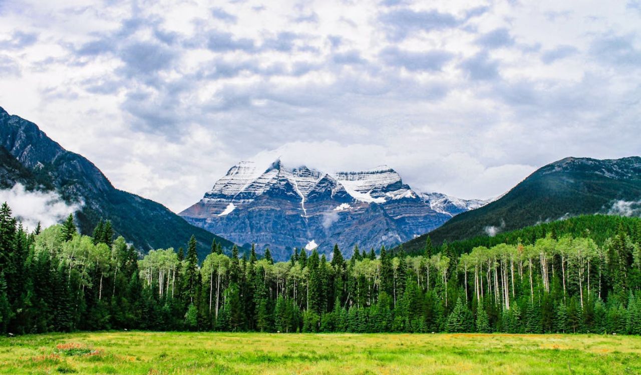 Nature’s calm: Breathe in the stillness