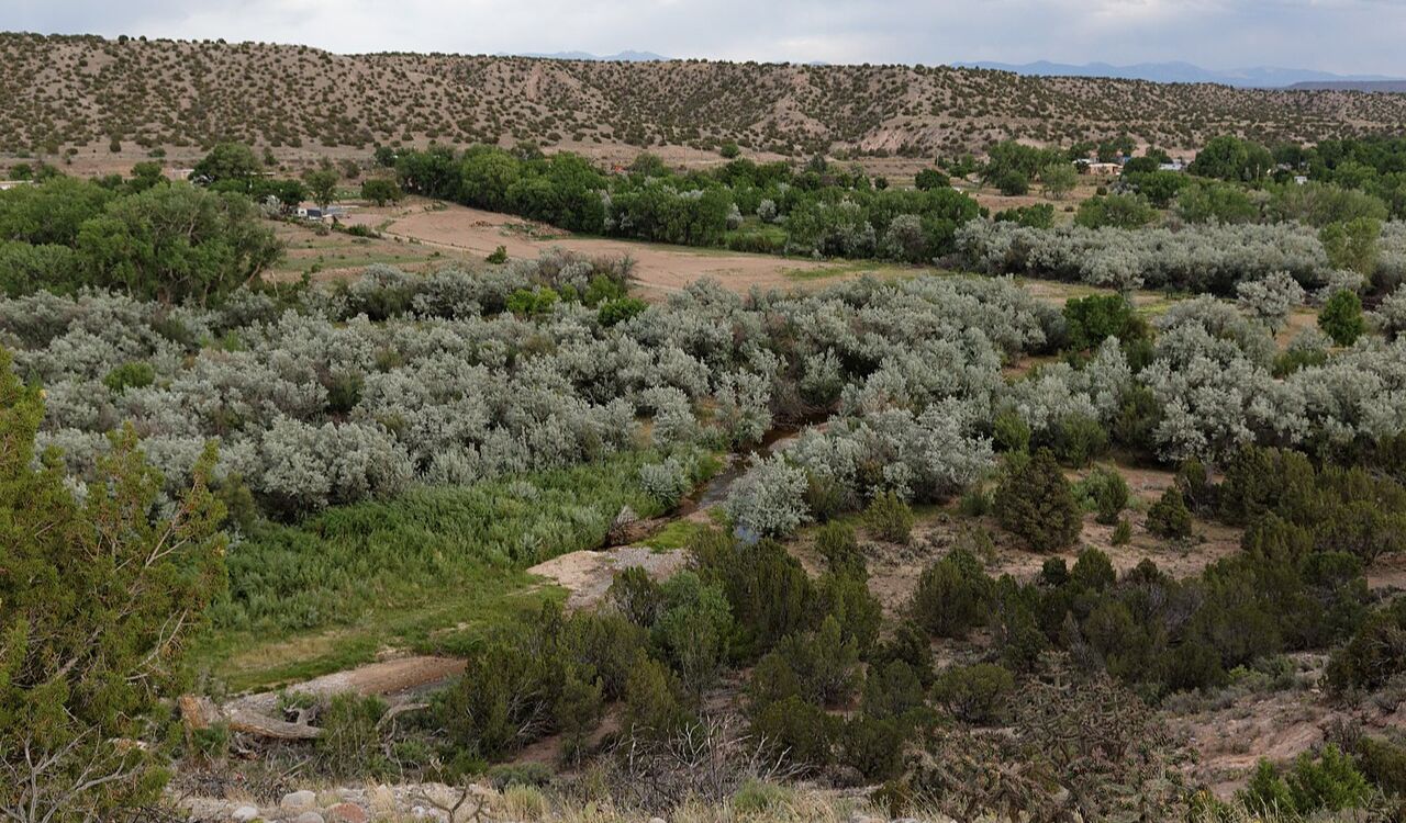 Scenic view of green and silver desert vegetation near Ojo Caliente, New Mexico, with distant hills in the background