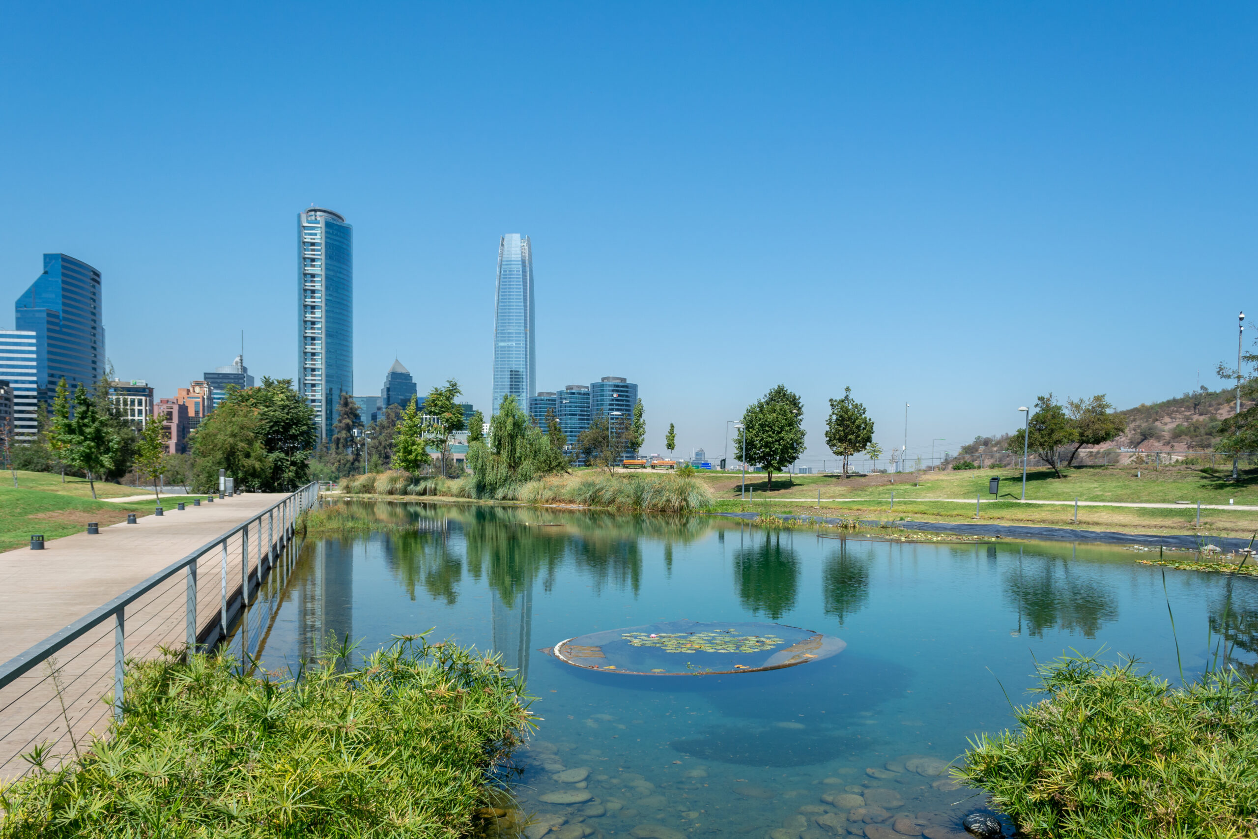 A city park with a pond, trees, and grass sits before modern skyscrapers under a clear blue sky.