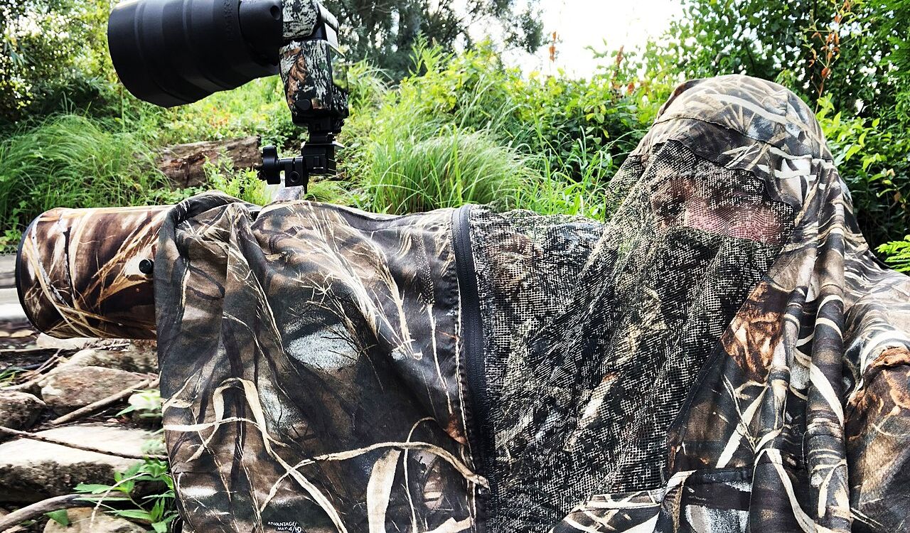 Blend in, capture wildlife undisturbed