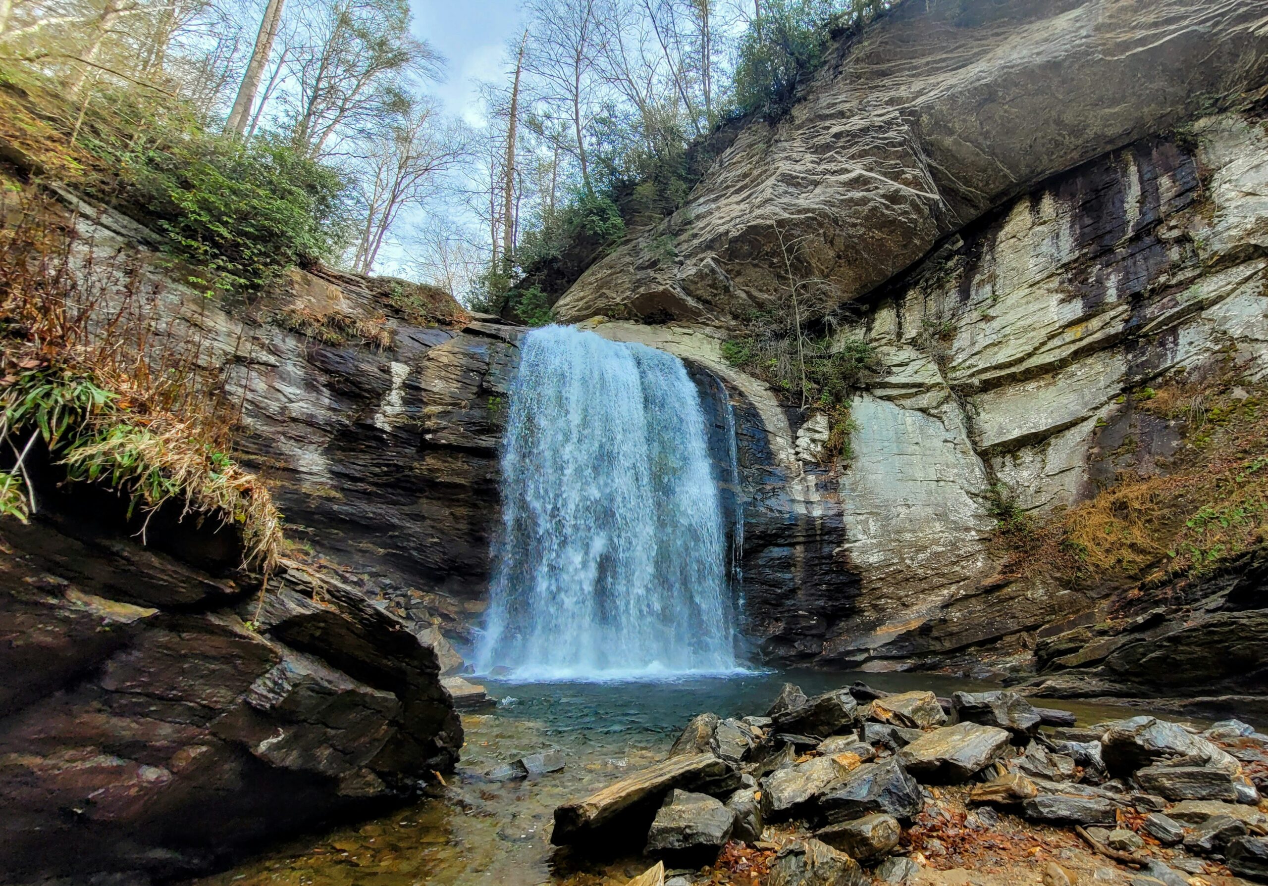 Pisgah National Forest