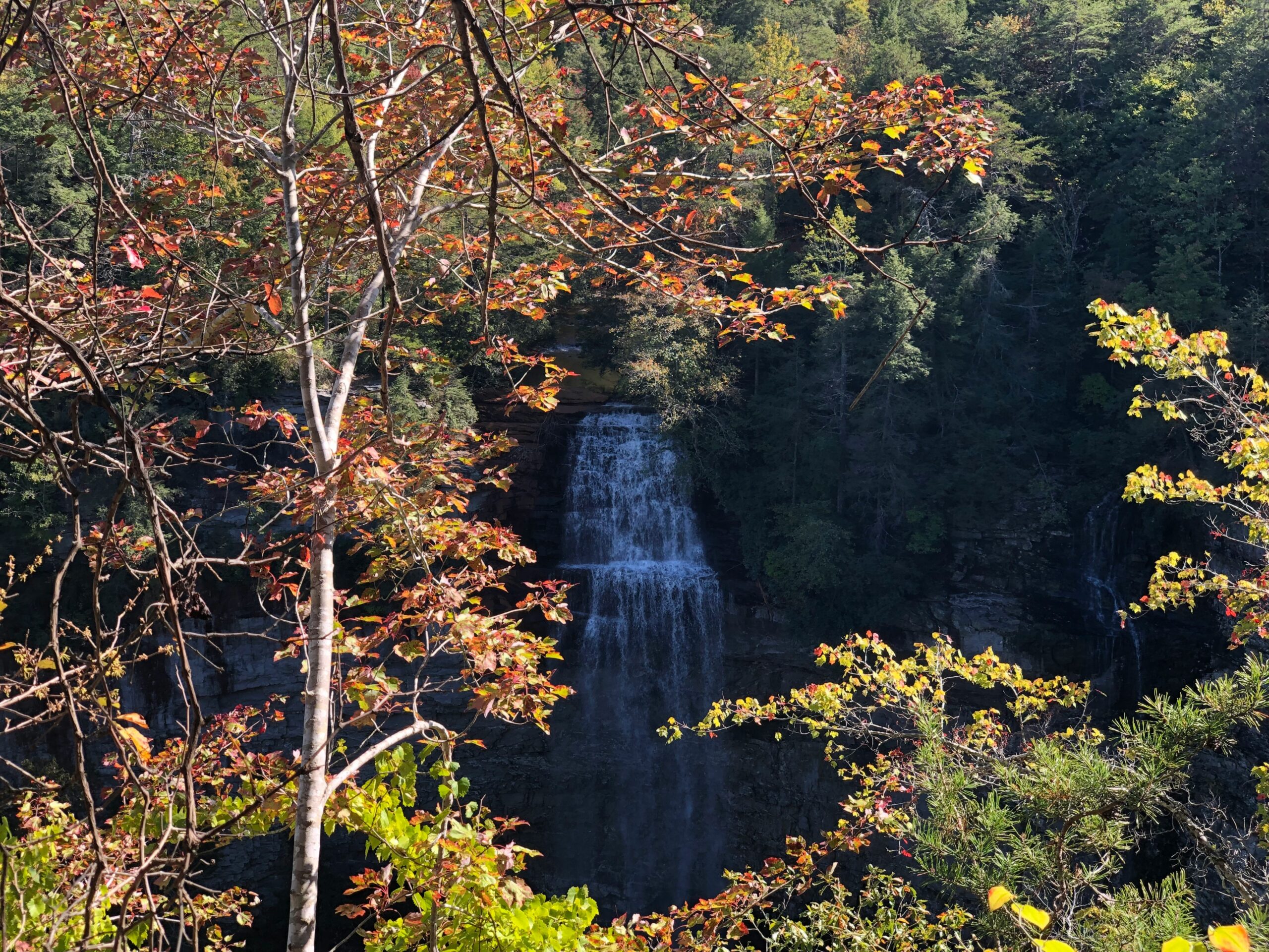 Scenic Tennessee State Parks That Are Perfect for Quiet Escapes