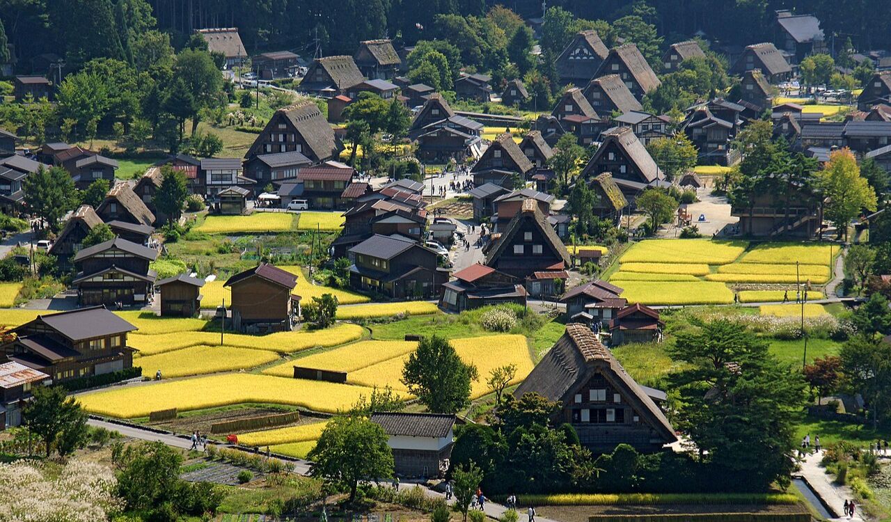 Traditional thatched-roof houses in Shirakawa-go village, Japan amid rice fields