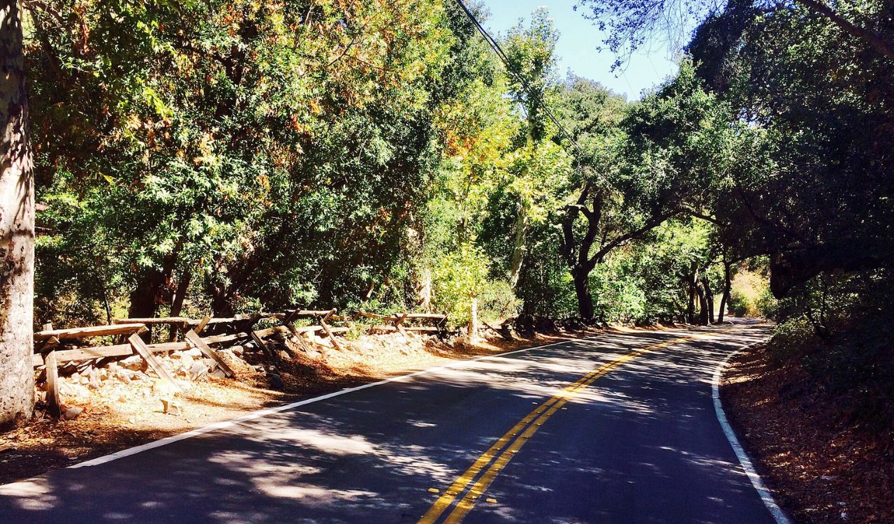Silverado Trail winds through Napa Valley’s vineyards and oak trees, offering a peaceful wine country escape