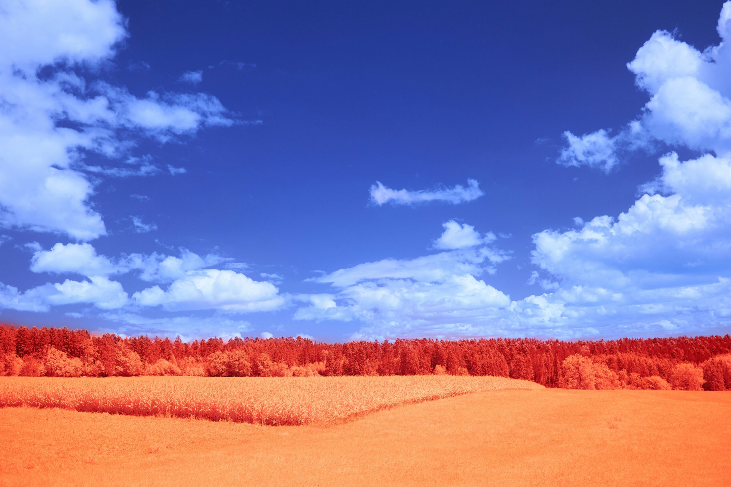 Simpson Desert, Australia