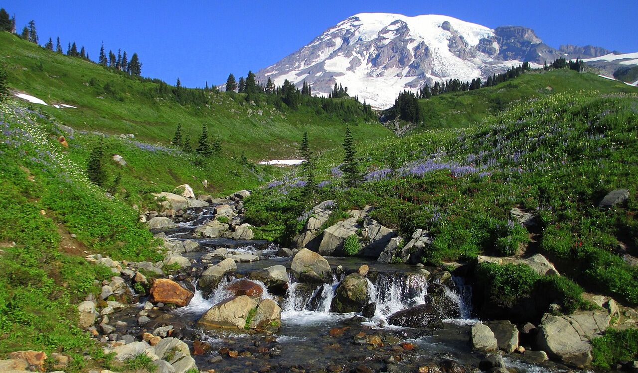 Snow-capped Mount Rainier with wildflower meadows and a mountain stream