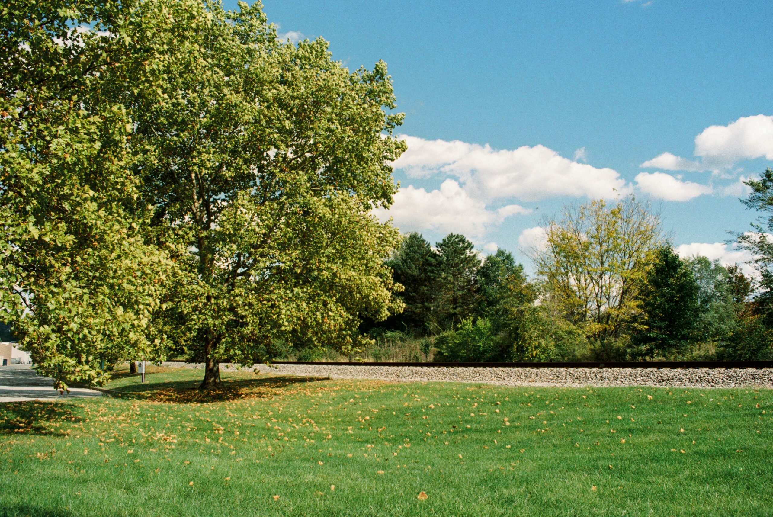 Sycamore Shoals State Historic Park