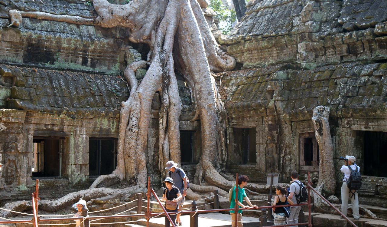 Tree roots entwining Ta Prohm Temple ruins.
