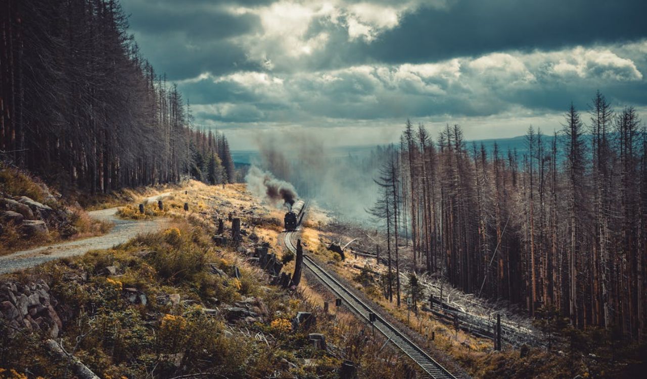 A vintage train winds through misty, forested hills