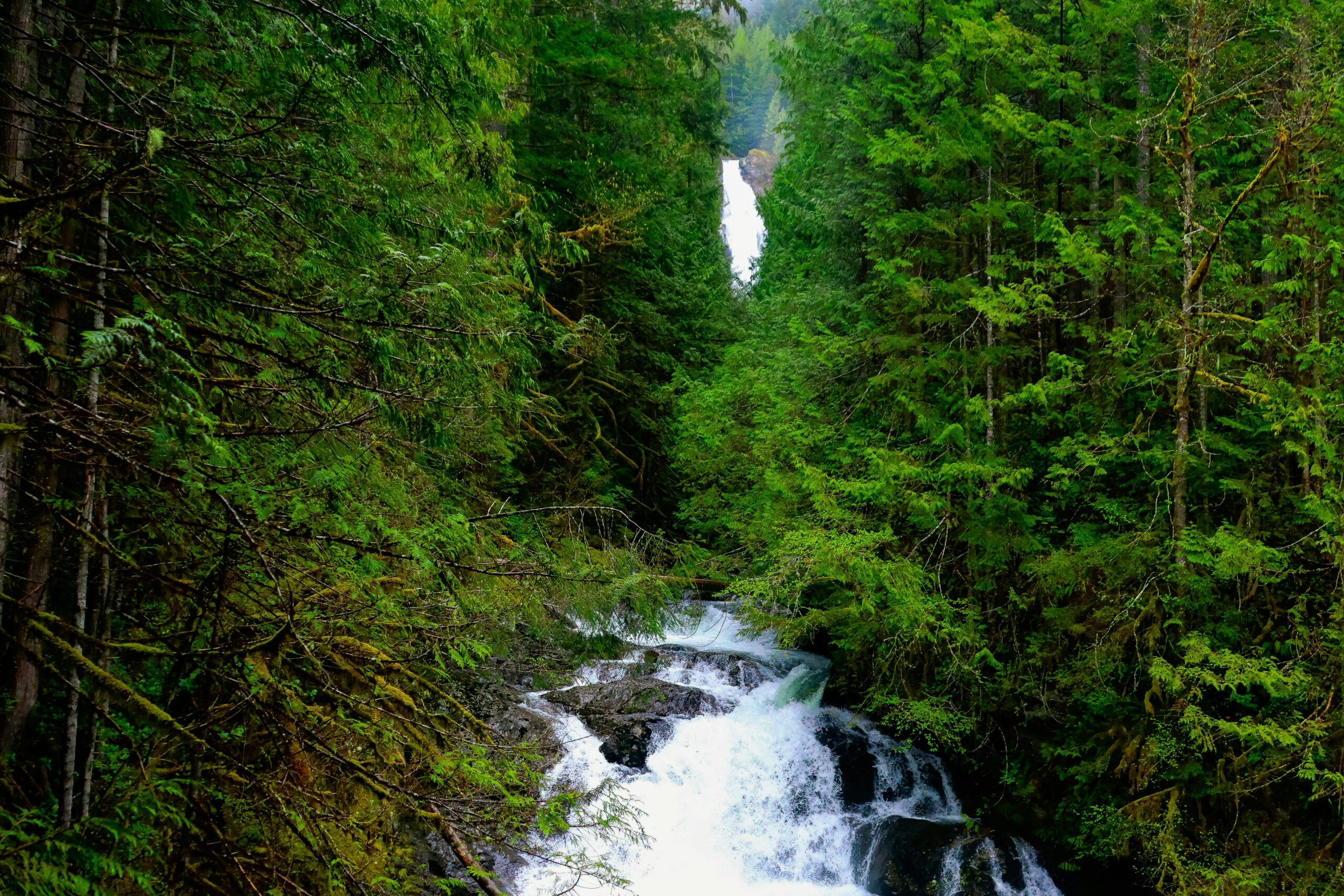 Wallace Falls
