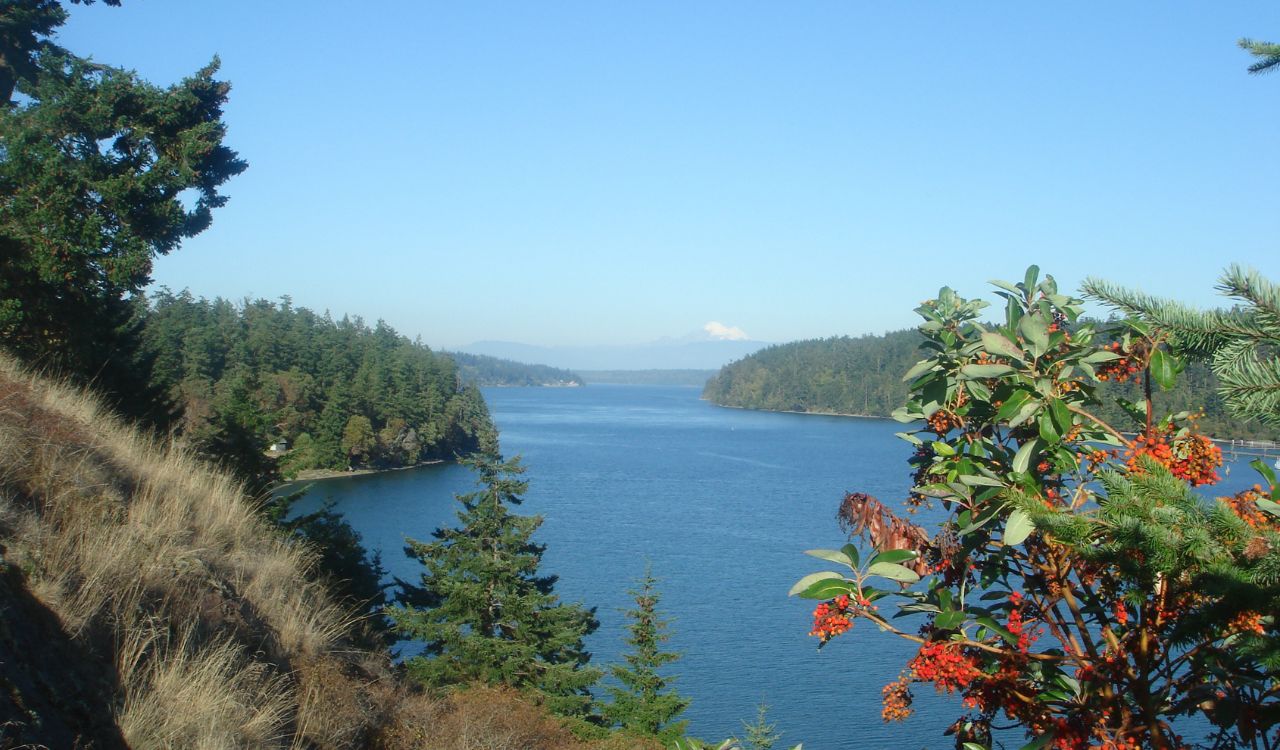 View of Whidbey Island coastline with blue water and forested cliffs under a clear sky