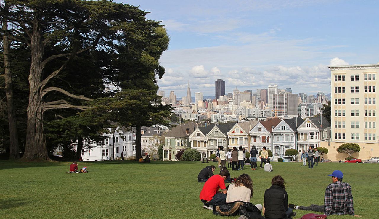 People relaxing on a grassy hill in front of the Painted Ladies, with the San Francisco skyline in the background.