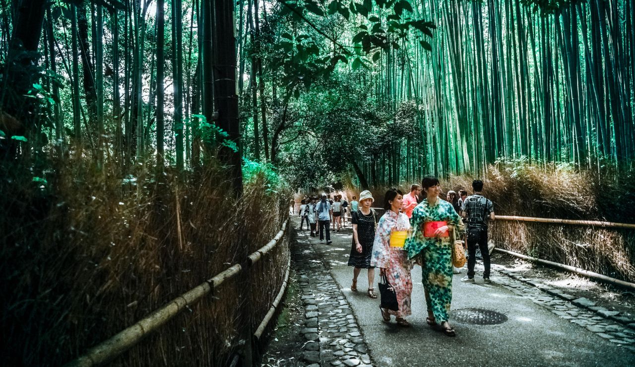 Bamboo grove path in Arashiyama district
