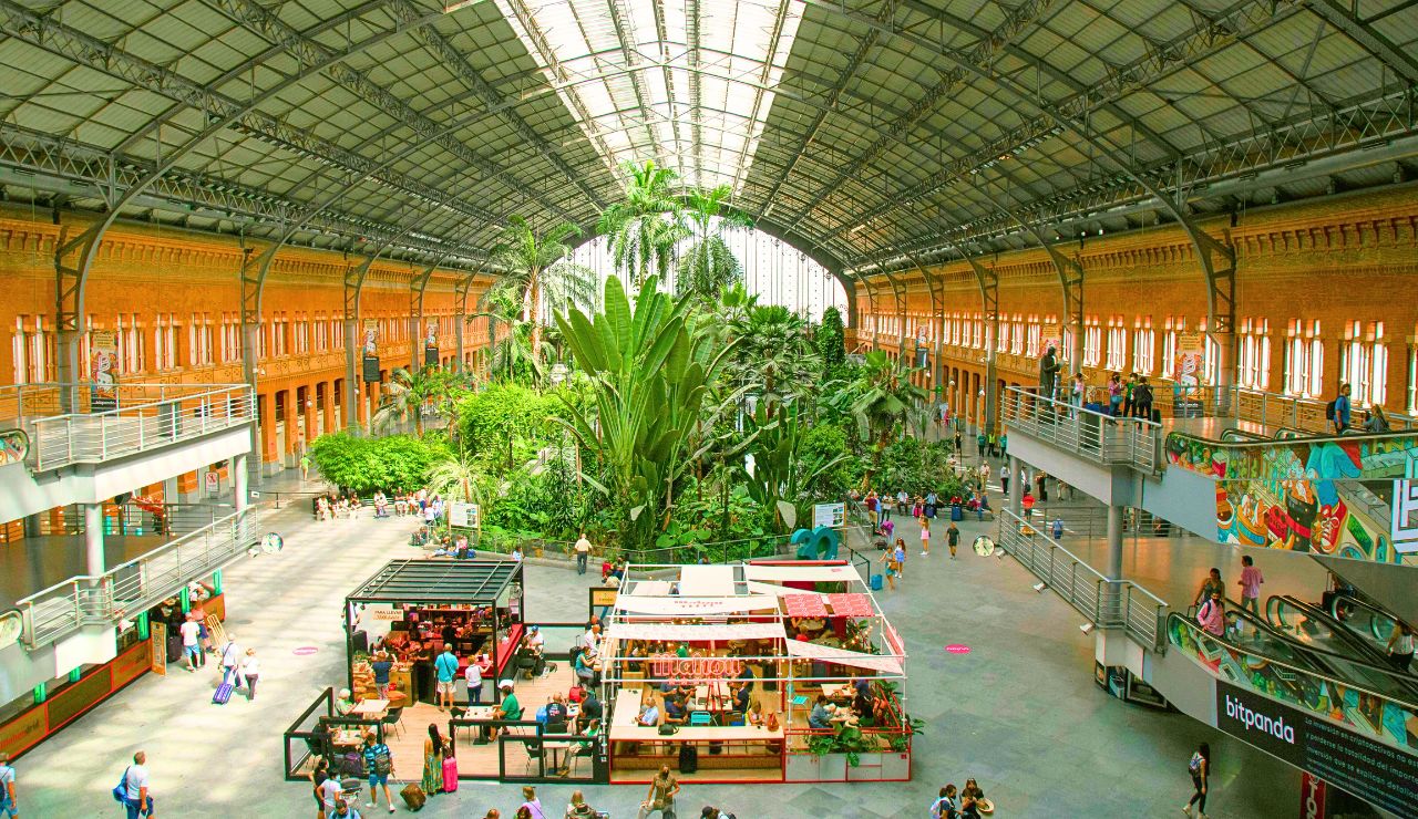 The tropical garden inside Atocha Station in Madrid, Spain.