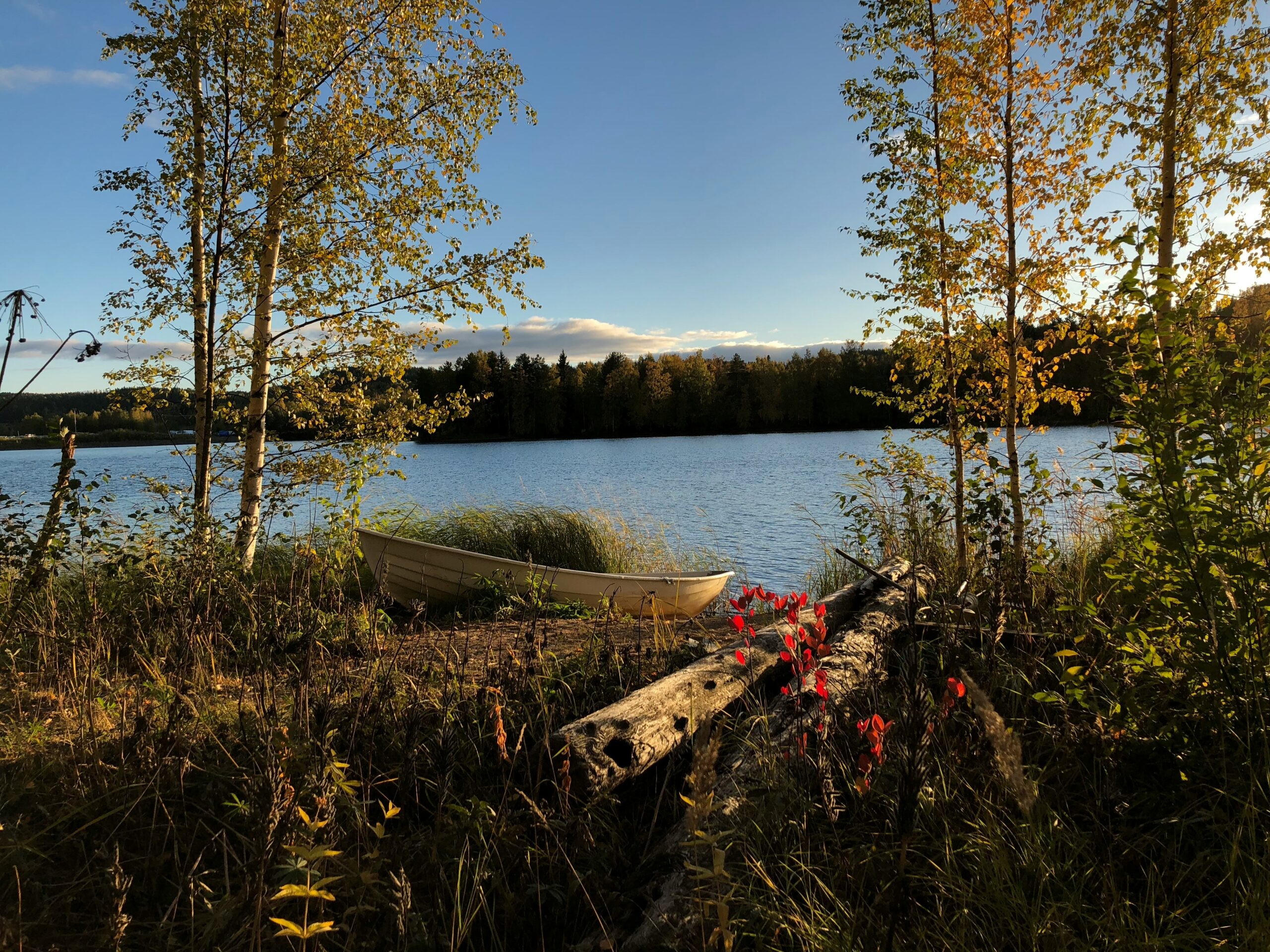 Aurora