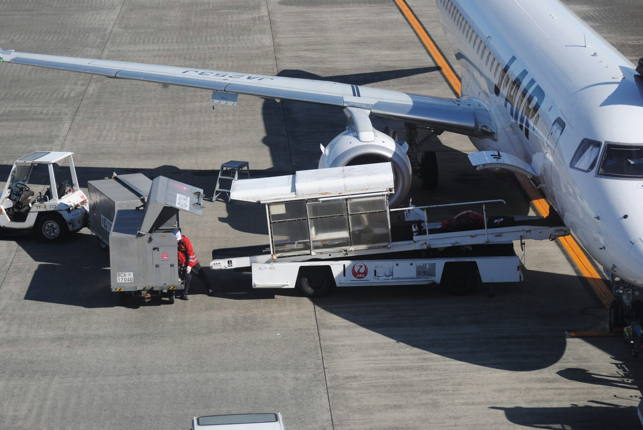 Better Baggage Handling Cues