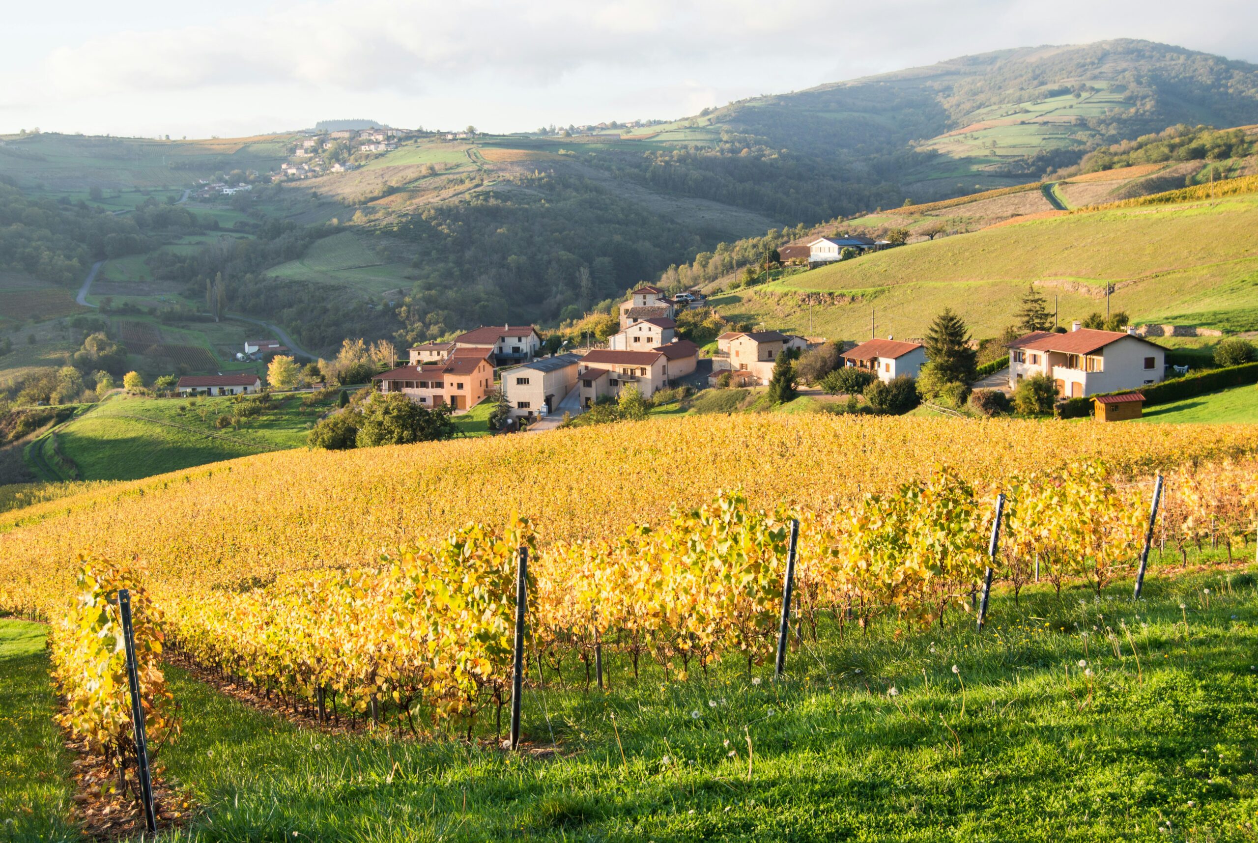 Barossa Valley – Wine and Romance